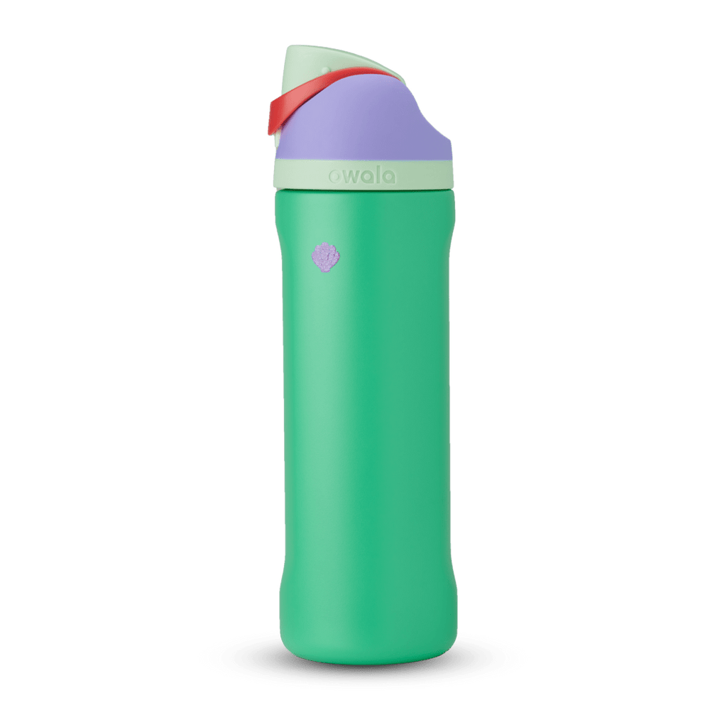 Disney Princess Collection